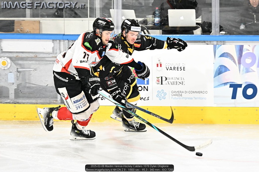 2025-02-08 Mastini Varese-Hockey Caldaro 1078 Dylan Ghiglione